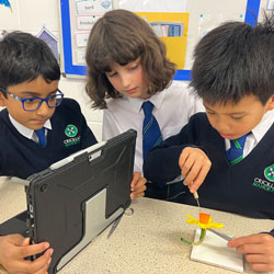 Unlocking Excellence: Discover the 12 Advantages of Independent Education at Cricklade Manor Prep