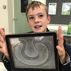 Digging into the Past: Year 4 Egyptian Discovery